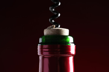 Opening wine bottle with corkscrew on dark red background, closeup