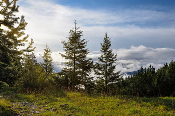 A wonderful sunny morning in the mountains after the rain.