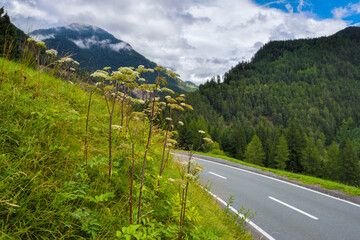 Summer mountain landscape with country road at the european Alps