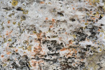 Closeup view of stone covered with lichen as background