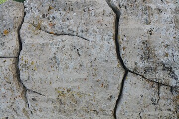 Closeup view of stone covered with lichen as background