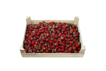 Strawberries in  wooden box. White isolate.