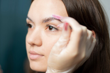 Beauty and health. Eyebrow correction. Master make-up artist paints the eyebrows of a young...