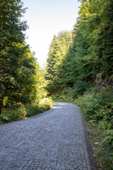 Fototapeta na wymiar Stone paved road leading into the forest