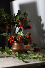 Mulberry berries on the branches. Fresh mulberries in a vase, plate on wooden background. 