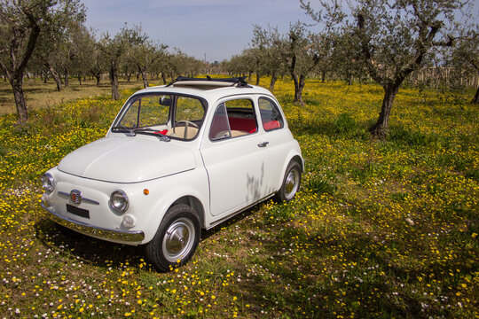 Image of an old Italian Fiat 500 car parked in the countryside in a flowery field.