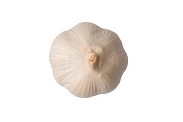 Garlic isolated on a white background.