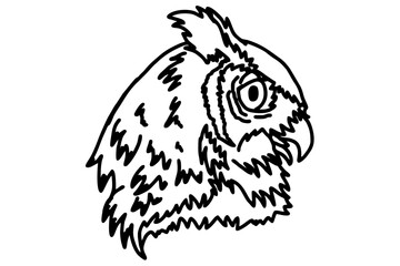Owl Head Line Art Vector