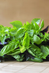 Sweet Basil green and red with flowers growing