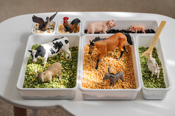 Farm animals in sensory bin. Educational game. Learning through play. Montessori material concept for toddlers. Sensory play ideas with small farm world play.