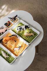 Farm animals in sensory bin. Educational game. Learning through play. Montessori material concept for toddlers. Sensory play ideas with small farm world play.