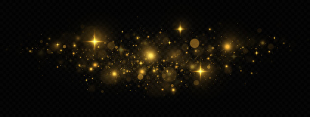 Fototapeta na wymiar Sparkling space golden magical dust particles. Christmas light concept. Golden confetti and shiny stars.