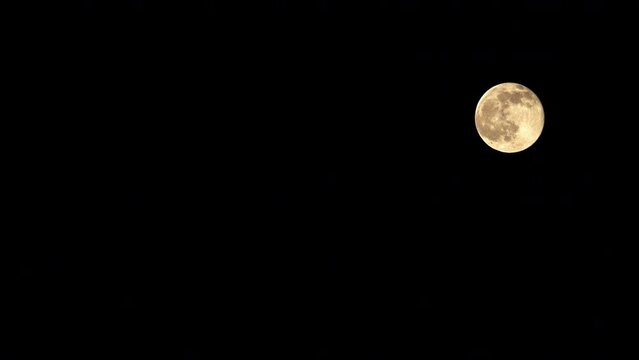 Lockdown Beautiful View Of Super Moon In Black Sky At Night - Los Angeles, California