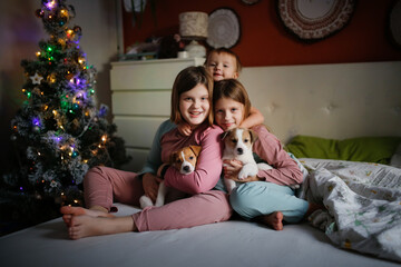 Two Cute sibling children in pajamas with puppies on bed in bedroom , christmas, dark style.