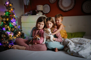 Three Cute sibling children in pajamas with puppies on bed in bedroom , christmas, dark style.