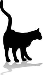 Silhouette Cat Pet Animal
