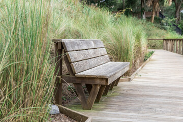 An empty peaceful bench with tall grass behind it with no one on it at the Wright family park in...