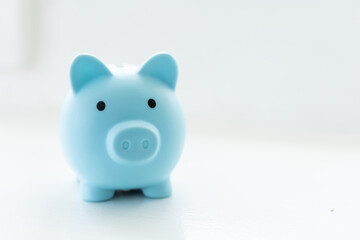 piggy bank on white background. Money saving
