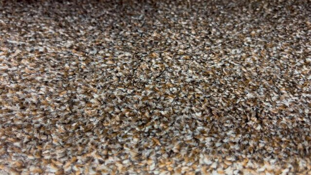 Carpet Sample In Store Slider Shot