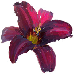 Realistic illustration of flower. Depiction of pink plant. Decoration for cards, invitations. Floral. Lily. - 528486021