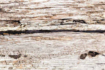 Naklejka premium texture de bois mort fendu horizontalement