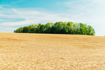 Large espace de terre nue non cultivée avec au loin un bosquet d'arbres posée comme une ile dans...