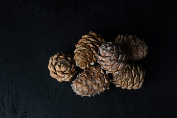 Cedar cones. Black background. Healthy food. Nuts