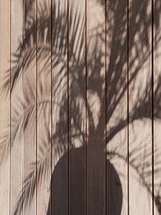 Shade from a palm tree on a wooden floor. Shadow pattern from a palm tree in a pot on a floor