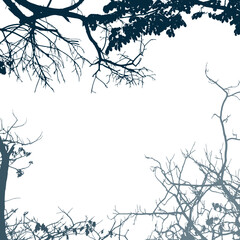 forest and mountain background with branch of tree	