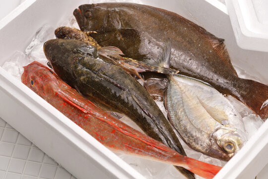 Japanese fresh fish boxes include the best selections from the morning's catches.