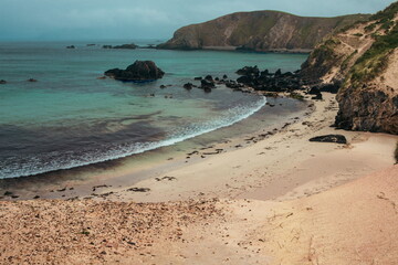 The wild beach in Scotland 
