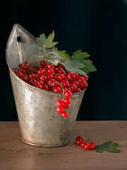 red currant berries in a vase on a wooden table