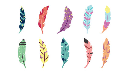 Set colorful feathers in cartoon style. Vector illustration of feather fantastic and paradise birds on white background. © MVshop