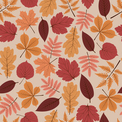  Pattern vector autumn leaves: birch leaf, maple, rowan, oak, chestnut, poplar. Pattern of autumn leaves.
