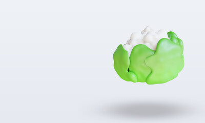 3d Vegetable Cauliflower rendering right view