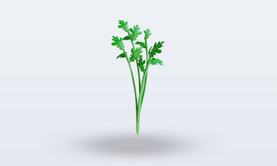 3d Vegetable Celery rendering front view