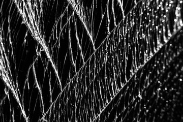 Shattered cell phone screen protector glass cracks pattern 