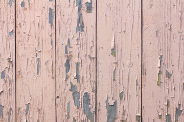 The texture of an old weathered wooden wall with remnants of beige paint. Wooden background with a space to copy.