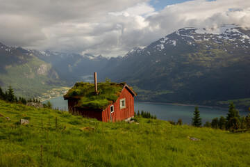 People, adult with kids and pet dog, hiking mount Hoven, enjoying the splendid view over Nordfjord from Loen skylift