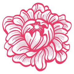 Red Rose Bud Flower Floral Doodle Line Art Hand Drawing Illustration