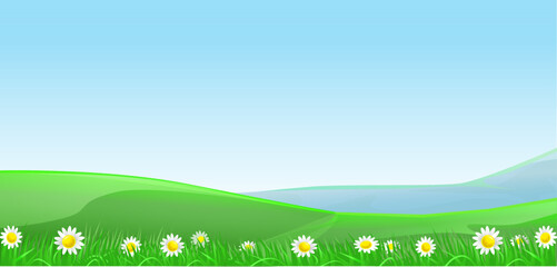 meadow with flowers illustration