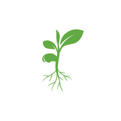 Sprout eco logo icon. Green leaf seedling icon symbol. Growing plant design concept. Eco icon theme. Ecology icon. seed growing icon. Vector illustration