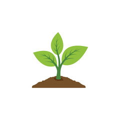 Fototapeta na wymiar plant icon vector. leaf growing design. Seed and seeding vector icon. Flat design growing plant or tree logo symbol. Vector illustration