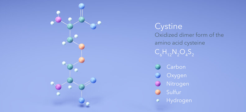 Cystine, molecular structures, 3d model, Structural Chemical Formula and Atoms with Color Coding
