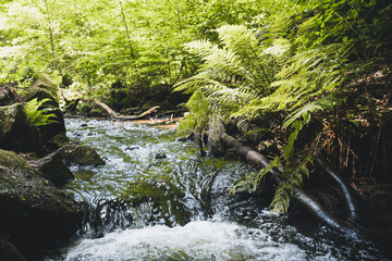 Karlstalschlucht Wasserfälle im Wald im Pfälzerwald in Rheinland Pfalz in Deutschland