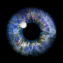 Realistic image of an eye. Iris, cornea, retina with luminous flash. Light blue eye. 3D Illustration.