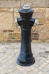 Fototapeta premium Black Fire Hydrant