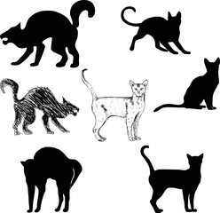 Cats silhouettes, black isolated on white