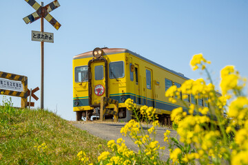 春のいすみ鉄道