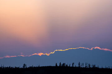 Silhouette of Pine Trees With Backlit Clouds and Purple Sky In The Distance